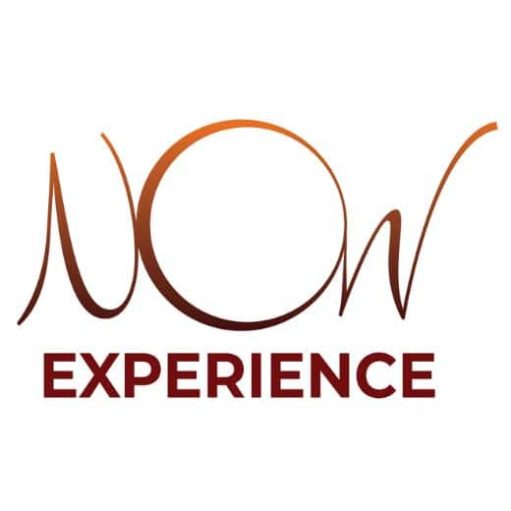 LOGO NOW EXPERIENCE